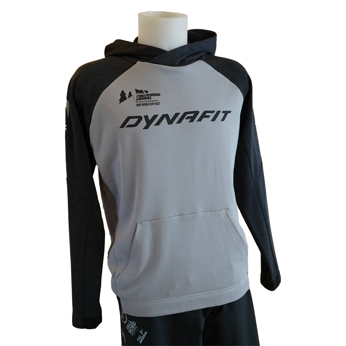 22- Sudadera Dynafit home copia